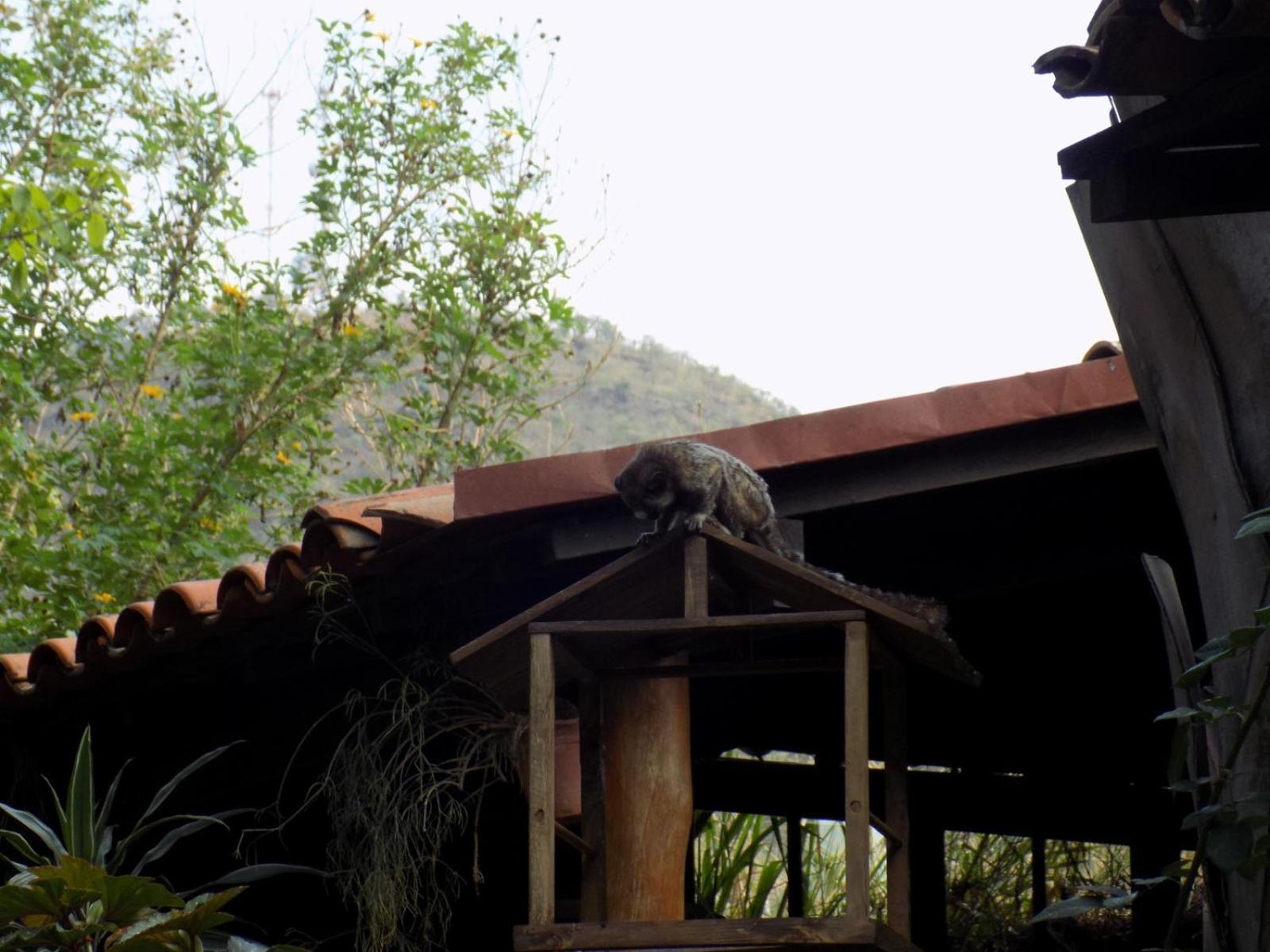 Pousada Fenix Pirenópolis المظهر الخارجي الصورة